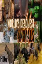 Watch National Geographic - Worlds Deadliest Animal Battles Gomovies123