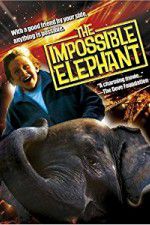 Watch The Incredible Elephant Gomovies123