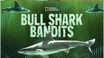 Watch Bull Shark Bandits Gomovies123