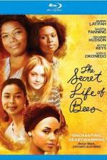 Watch The Secret Life of Bees Gomovies123