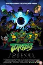 Watch Teenage Mutant Ninja Turtles Turtles Forever Gomovies123