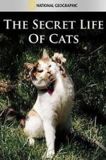 Watch The Secret Life of Cats Gomovies123