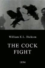 Watch The Cock Fight Gomovies123