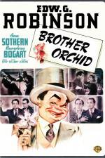 Watch Brother Orchid Gomovies123
