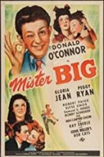 Watch Mister Big Gomovies123