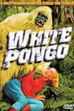 Watch White Pongo Gomovies123