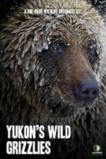 Watch Yukon\'s Wild Grizzlies Gomovies123