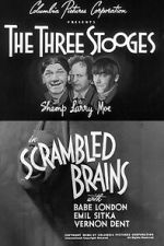 Watch Scrambled Brains Gomovies123