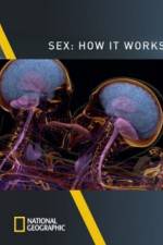 Watch Sex How It Works Gomovies123