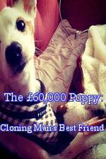 Watch The 60,000 Puppy: Cloning Man's Best Friend Gomovies123