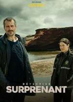 Watch Détective Surprenant : la fille aux yeux de pierre Gomovies123