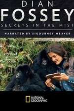 Watch Dian Fossey: Secrets in the Mist Gomovies123