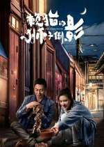 Watch The Lion's Secret Gomovies123