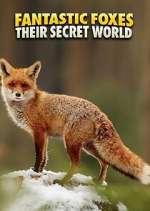 Watch Fantastic Foxes: Their Secret World Gomovies123