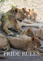 Watch Pride Rules Gomovies123