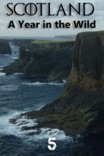 Watch Scotland: A Wild Year Gomovies123