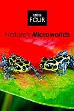 Watch Natures Microworlds Gomovies123