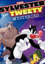 Watch The Sylvester & Tweety Mysteries Gomovies123