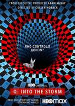 Watch Q: Into the Storm Gomovies123