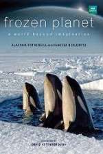 Watch Frozen Planet Gomovies123