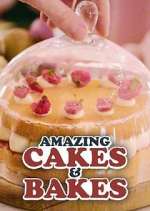 Watch Amazing Cakes & Bakes Gomovies123