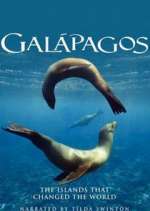 Watch Galapagos Gomovies123
