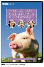 Watch All Creatures Great and Small Gomovies123