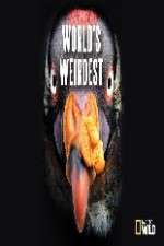 Watch National Geographic Worlds weirdest Gomovies123