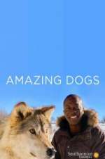 Watch Amazing Dogs Gomovies123