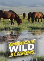 Watch America's Wild Seasons Gomovies123