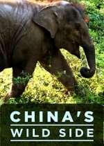 Watch China's Wild Side Gomovies123