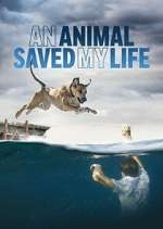 Watch An Animal Saved My Life Gomovies123