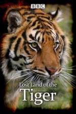 Watch Lost Land of the Tiger Gomovies123