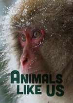 Watch Animals Like Us Gomovies123