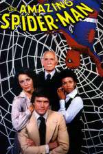 Watch The Amazing Spider-Man Gomovies123