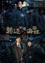 Watch Winter Begonia Gomovies123