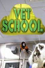 Watch Vet School Gomovies123