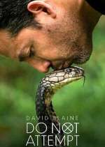 Watch David Blaine Do Not Attempt Gomovies123