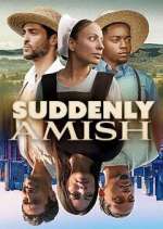 suddenly amish season 1 episode 2 tv poster