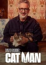 david baddiel: cat man tv poster
