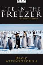 Watch Life in the Freezer Gomovies123