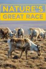 Watch Nature's Great Race Gomovies123