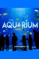 Watch The Aquarium Gomovies123
