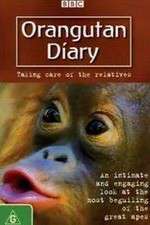 Watch Orangutan Diary Gomovies123