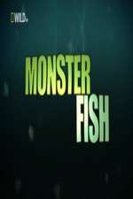 Watch National Geographic Monster Fish Gomovies123