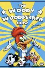 Watch The Woody Woodpecker Show Gomovies123