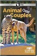 Watch Animal Odd Couples Gomovies123