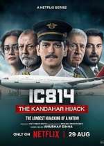 Watch IC 814: The Kandahar Hijack Gomovies123