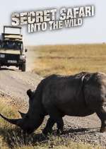 Watch Secret Safari: Into the Wild Gomovies123