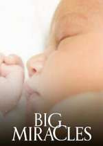 Watch Big Miracles Gomovies123